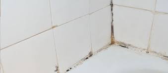 How To Clean Mold In The Shower And On