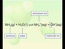 Ammonia A Weak Base You