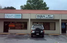 Well, doggie paws is the answer! Paws Pet Grooming Salon Pet Grooming Salon 3402 S Dale Mabry Hwy Ste D Tampa Fl 33629 Yp Com