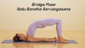 பயன கள yoga benefits