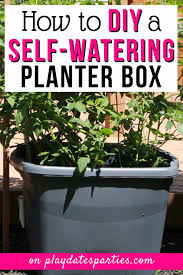 Diy Self Watering Planter For Gorgeous