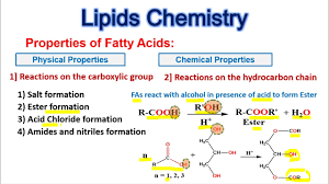 lipids chemistry fatty acids