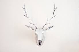 Deer Head On Wall Images Browse 3 679