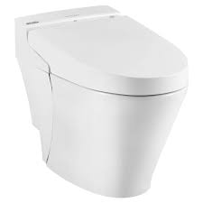 Here's a picture of a classic bidet. Advanced Clean 100 Spalet Bidet Toilet American Standard