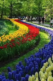 Beautiful Flowers Garden