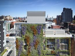 Green Walls In New York A Roundup Of