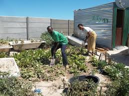 Khayelitsha Couple Turns Dump Site Into