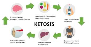 what is ketosis causes symptoms