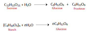 of glucose from sugar and starch