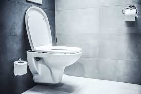 How To Tighten Toilet Seat A Guide To