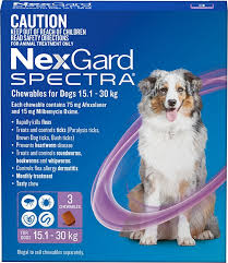 Dr glenn discusses the suitability of nexgard for flea and tick control in puppies as well as a couple of other tips to ensure a safe experience for your. Nexgard Spectra Wormer And Flea Chew For Dogs 15 1kg To 30kg 3 Pack Mega Pet Warehouse