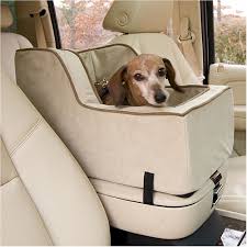 6 Tips To Make Your Car Pet Ready