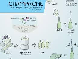 Where Do Champagne Bubbles Come From Wine Folly