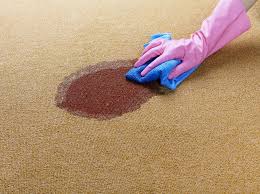 8 best carpet stain removers 2023