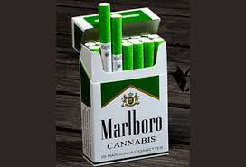 Find great deals on ebay for camel cigarette carton. Hemp Cigarettes For Sale 1 Hemptrance Cbd Cigarettes By Buy Cbd