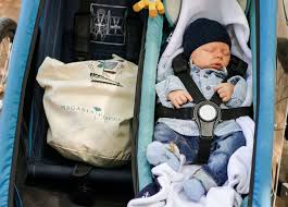 Hangematten fur babys geborgenheit und schutz zugleich babypedia : Croozer Babysitz Hangematte Inkl Winter Set Ab 2018 2019 Fahrradanhanger 24 De