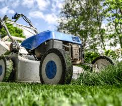 When should i dethatch my lawn? Do I Need To Aerate My Lawn Trugreen