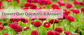 flowers quiz questions with answers