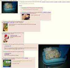 anon is growing cumshrooms : r/4chan