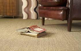 how to care for your wall to wall carpets