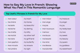 phrases to say my love in french