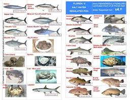 Saltwater Fish Limits Saltwater Fish Bag Size Limits At