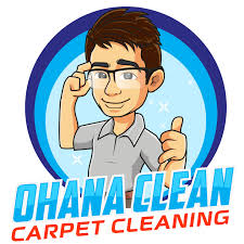 carpet cleaning in chlin mn