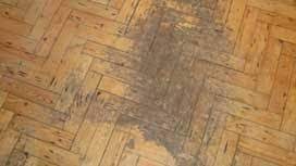 parquet floor repair london