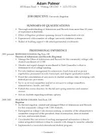 Mba Application Resume Examples Resume Application Format Pdf