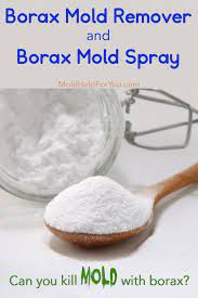 does borax kill mold mold help for you