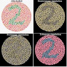 color blindness in psychology