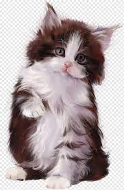 Cat lovers like us know that cats are not only poised and elegant animals, but lovable and adorable as well! Cat Gif 6090083 Cat4 Cat Gif Cute Cats Kittens Cutest I Png Download 437x672 8863849 Png Image Pngjoy