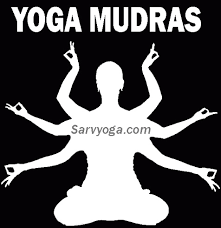 yoga mudras miracle of fingers gesture