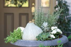 Fall Container Garden Ideas Tips 1