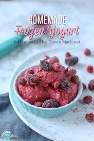 homemade frozen yogurt 5 minutes no