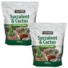 Cactus Potting Soil Mix