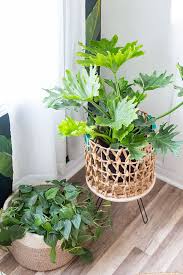 awesome plant stand concepts for your