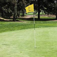 augusta national golf flags pin flag