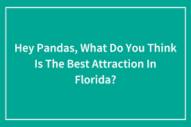 best attraction in florida bored panda