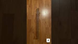 from laminate floors