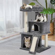 the best cat trees for 2024 according