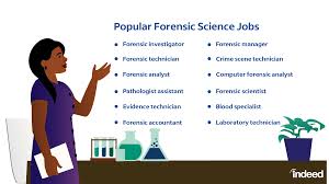 25 por forensic science careers to