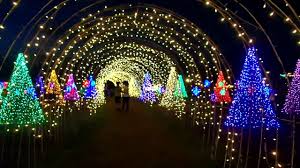 Walking The Along The Lighted Arch Magical Field Of Lights Nuvali Laguna