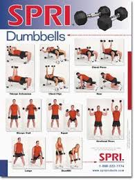Spri Dumbbell Exercise Wall Chart 12 11 Dumbbell Workout