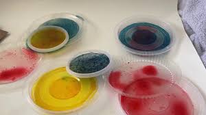 agar agar bioplastic you