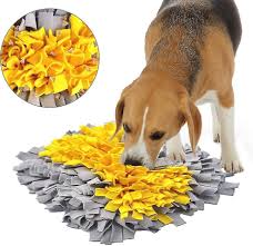 sniffing carpet dog smelling exercise