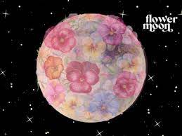 full flower moon