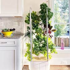 11 Best Indoor Herb Garden Kits Top