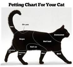 Petting Chart For Your Cat