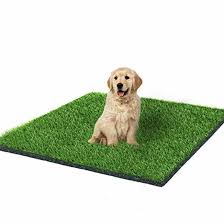 Dog Grass Mat And Grass Doormat Indoor